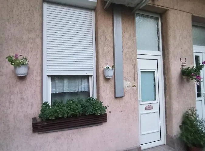 Nati * Budapeszt